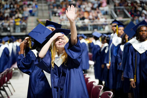 Image 17 of 50
