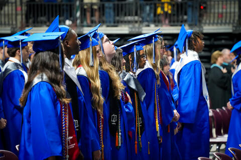 Image 16 of 51