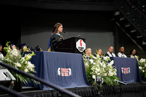 Image 17 of 42