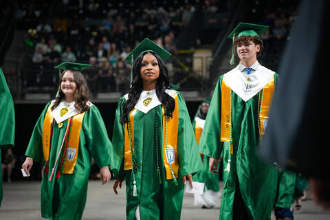 Image 9 of 47