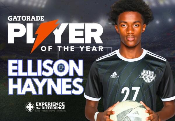Ellison Haynes