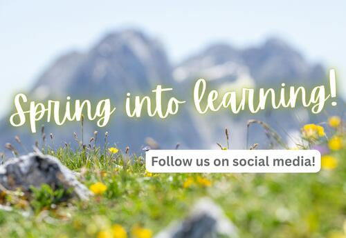 Image with grass and flowers, text reads "Spring into learning, Follow us on social media"