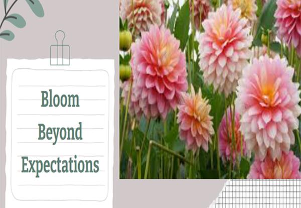 Bloom Beyond Expectations