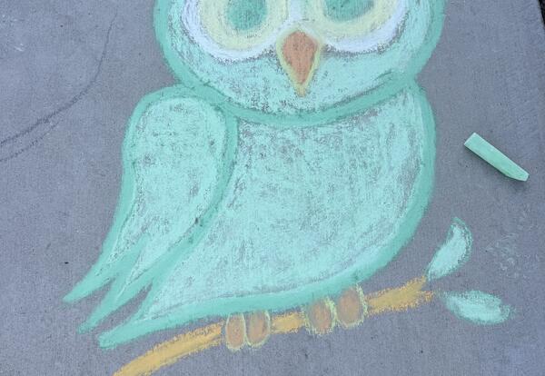 Chalk drawing of an owl