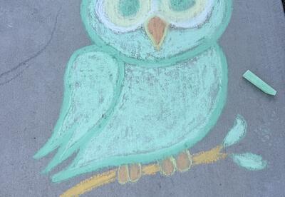 Chalk drawing of an owl