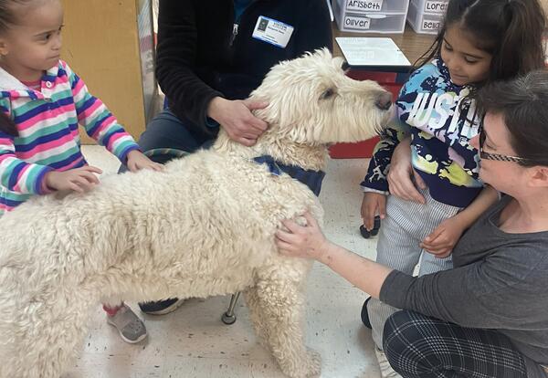 Love on a leash best sale therapy dogs