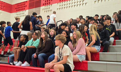 Image 16 of 52