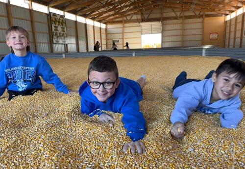 Boys in the Corn!