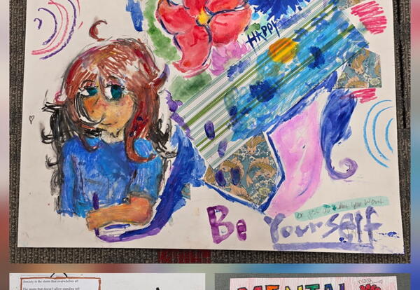 Mental Health Extension Projects