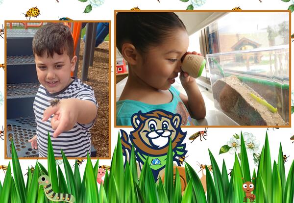 What’s Buzzing at the ELC?