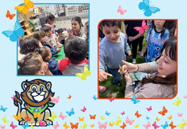 Tiny Wings Take Flight: Preschoolers Release Their Butterflies