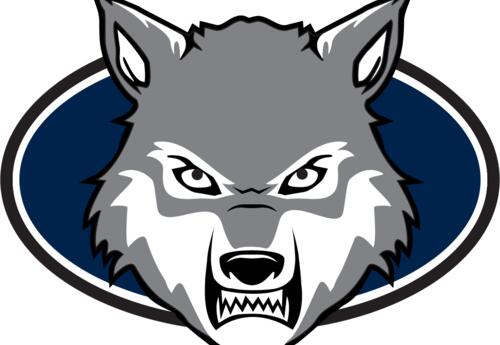 wolf snarling with blue background
