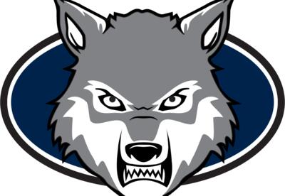wolf snarling with blue background