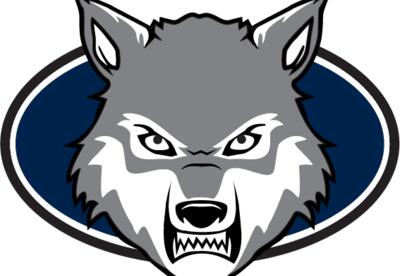 gray wolf with blue circle around it