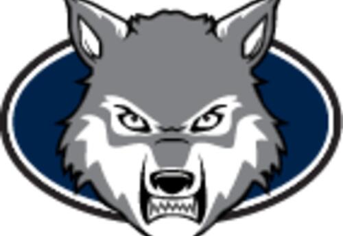 Wolf head with blue background