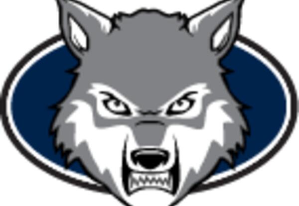 Wolf head with blue background