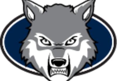 gray wolf with blue circle behind it