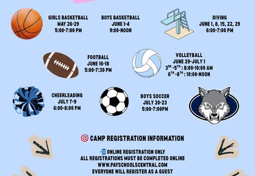 sports balls like football, volleyball, basketball, pompoms, diving board scattered about the page with light blue background