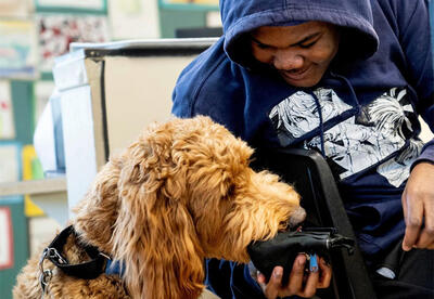 support dog for Covenant Schools Detroit