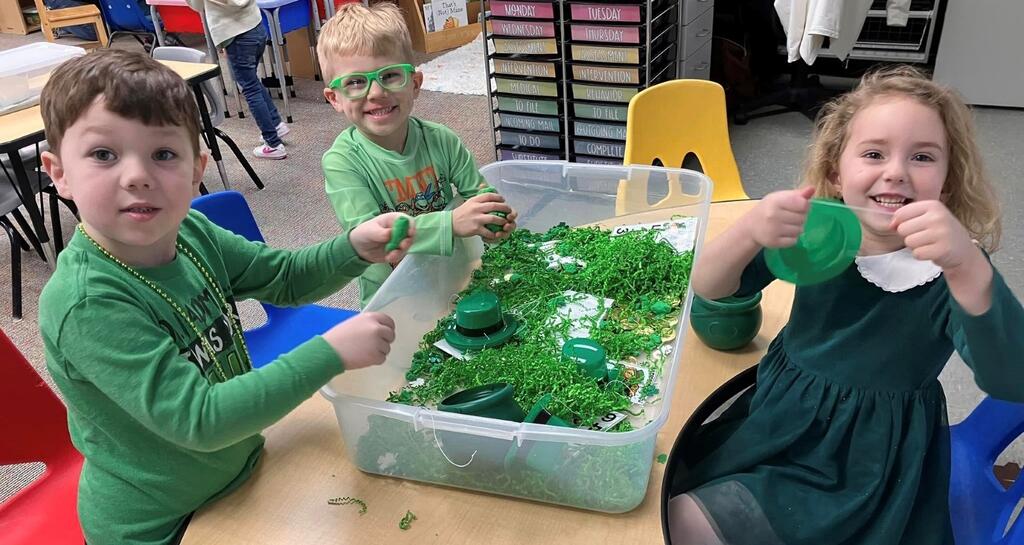 saint patricks day celebration