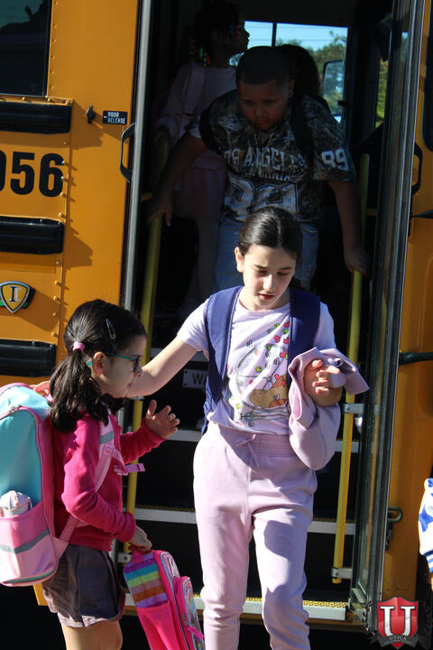 Image 17 of 49