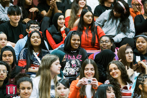 Image 7 of 60