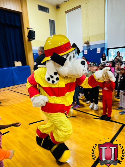 Image 46 of 95