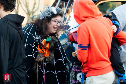 ၃၄ ရုပ်ပုံ ၁၂