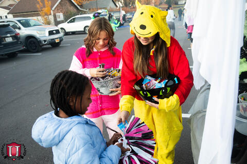 ၃၄ ရုပ်ပုံ ၁၇