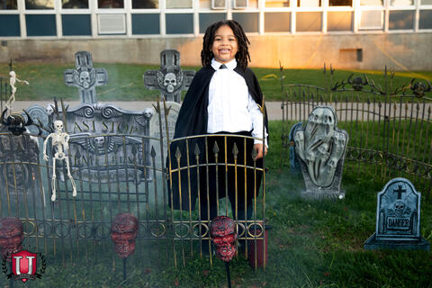 ၃၄ ရုပ်ပုံ ၈