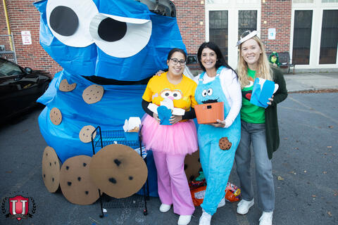 ຮູບ 12 ຂອງ 31