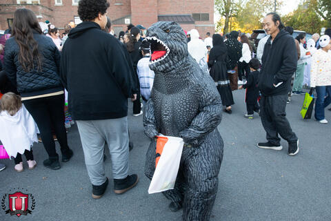 ຮູບພາບ 26 ຂອງ 31