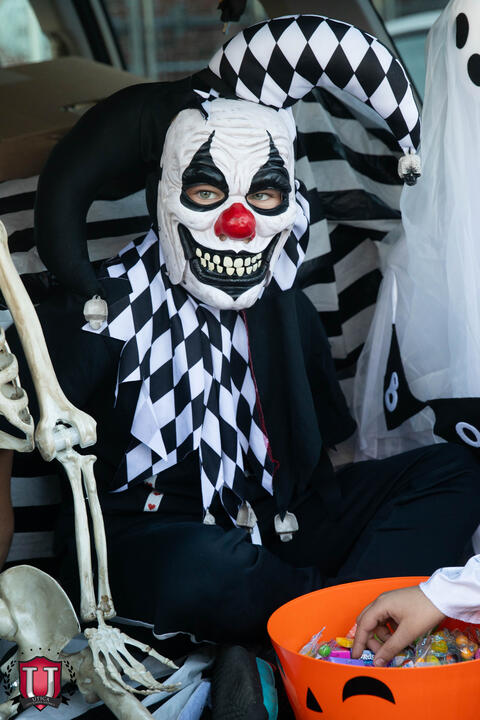 ພາບ 28 ຂອງ 31