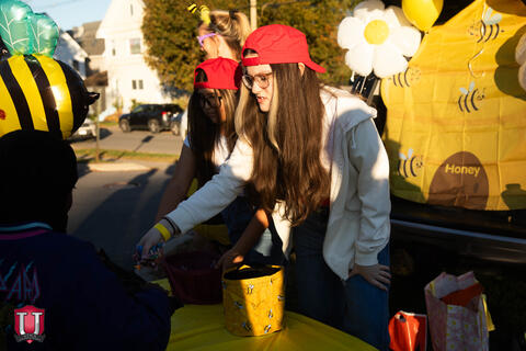 ຮູບພາບ 8 ຂອງ 31