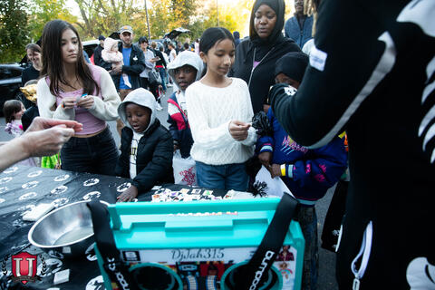 ຮູບພາບ 20 ຂອງ 31