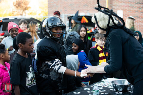 ຮູບພາບ 21 ຂອງ 31