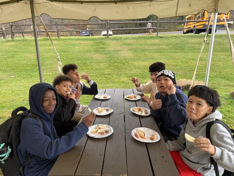 تصویر 6 میں سے 6