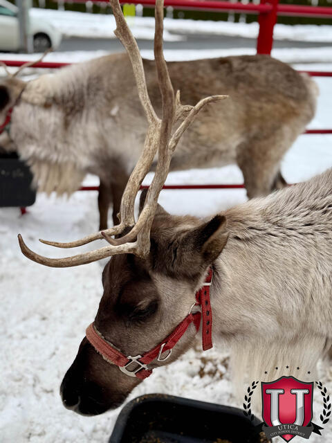 61 ਵਿੱਚੋਂ 33 ਚਿੱਤਰ