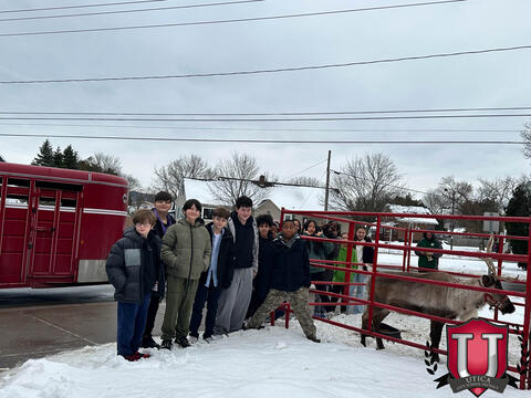 61 ਵਿੱਚੋਂ 55 ਚਿੱਤਰ