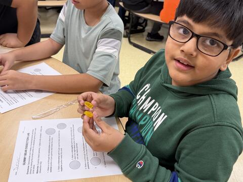 Picha ya 5 kati ya 7