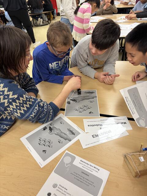 Picha ya 3 kati ya 7