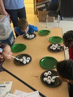 ရုပ်ပုံ ၂၉ ၏ ရုပ်ပုံ ၂