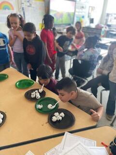 ၁၉ ရုပ်ပုံ ၁၁