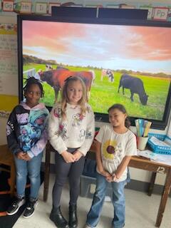 ၁၉ ရုပ်ပုံ ၁၅