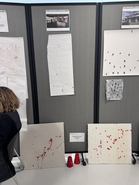 Picha ya 4 kati ya 6