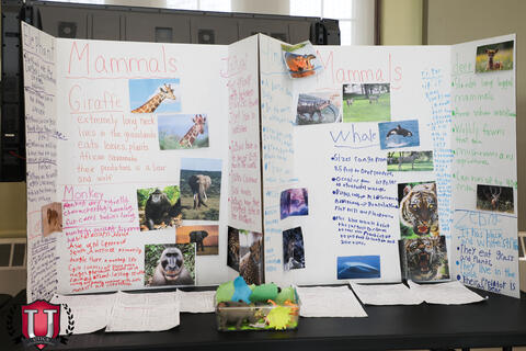 ရုပ်ပုံ ၁၁ ပုံ ၂၆