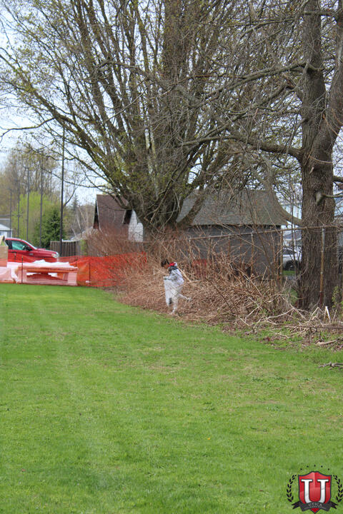 ၂၀ ရုပ်ပုံ ၁၉