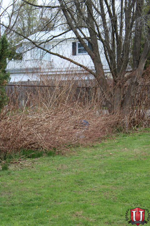 ရုပ်ပုံ ၂၀ ၏ရုပ်ပုံ ၂