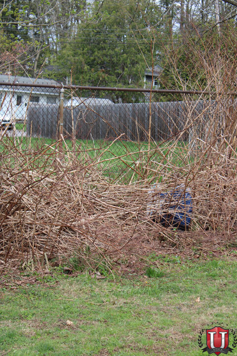 ၂၀ ရုပ်ပုံ ၃