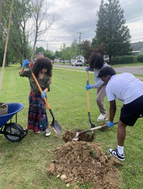 Obraz 2 z 4